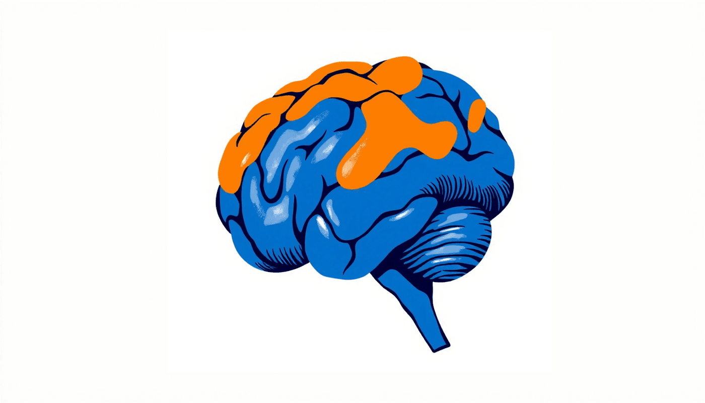 How the Brain Learns a Language: The Story of the Most Complex Skill You Were Never Taught