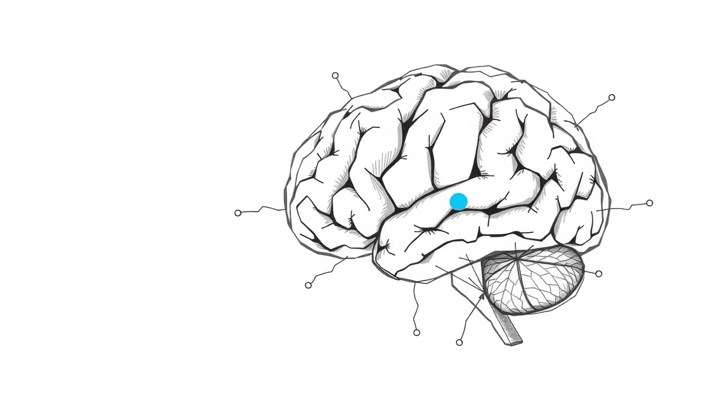 Wie wir tatsächlich lernen?